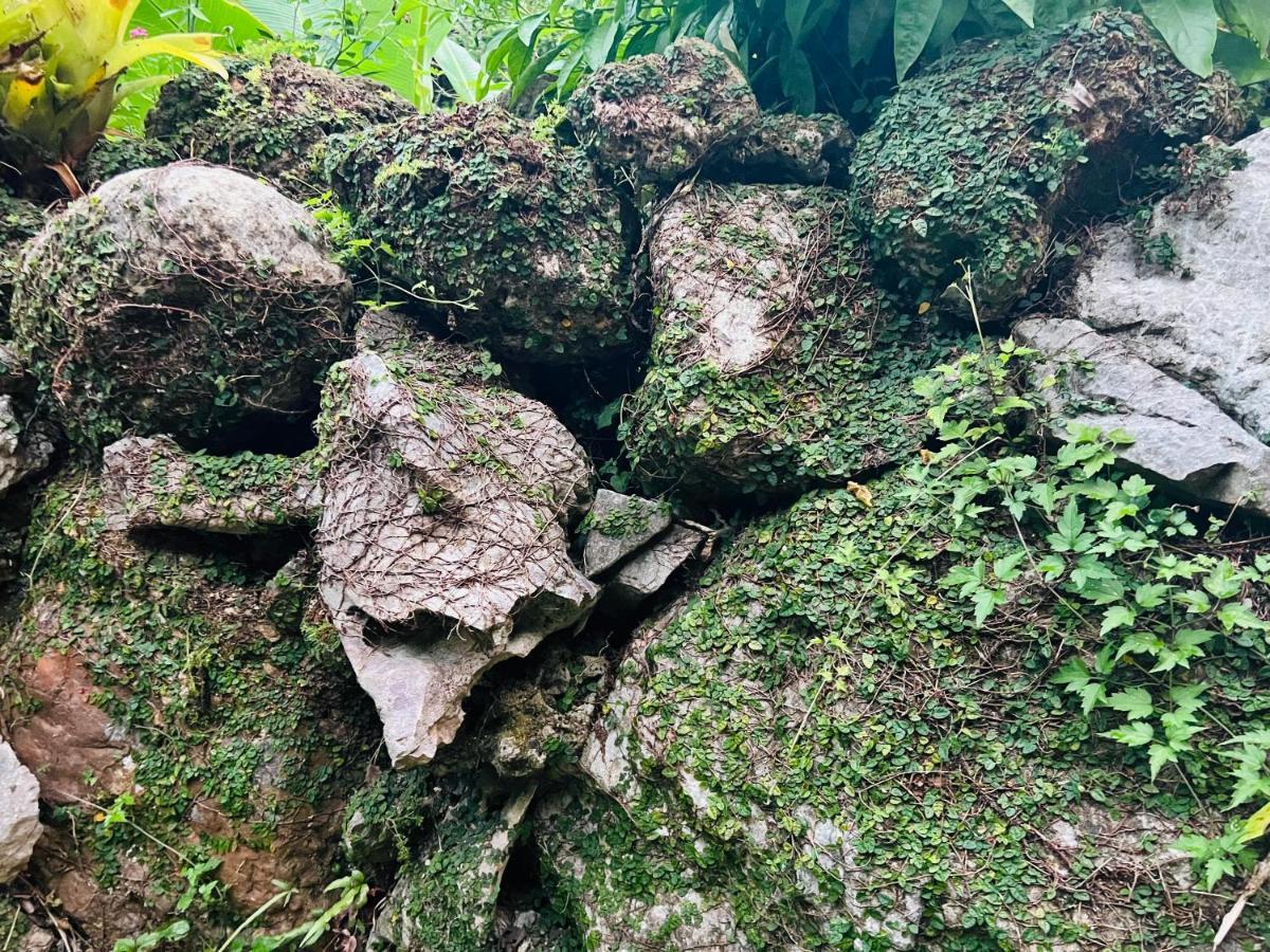 Villa Yama'oto - Nature Luxury *